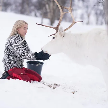 Snowhotel