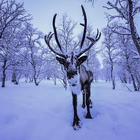 Snowhotel